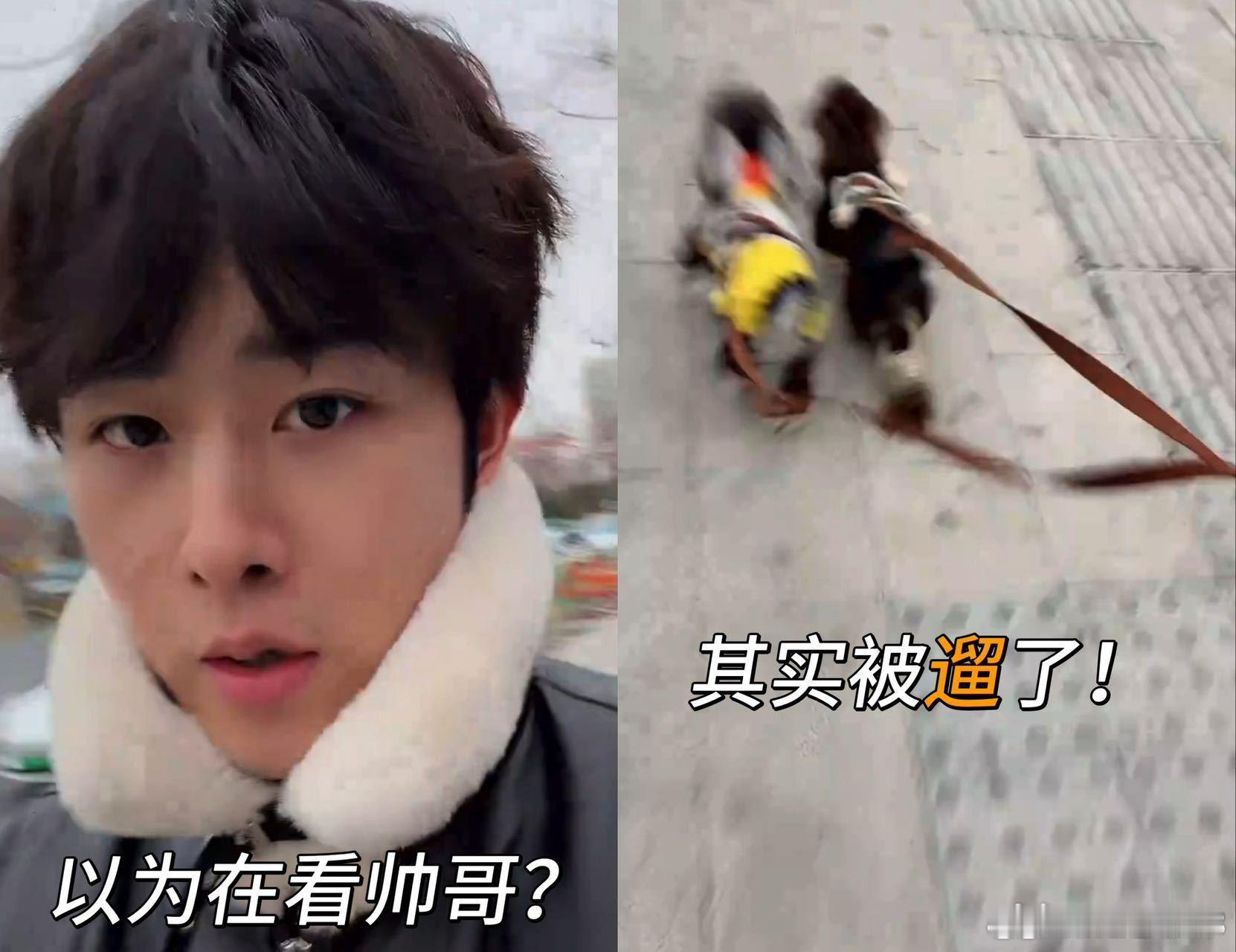 田嘉瑞直播被小狗缠住点进田嘉瑞直播感觉被遛了 每当田嘉瑞抓着狗子的绳子，试图重新