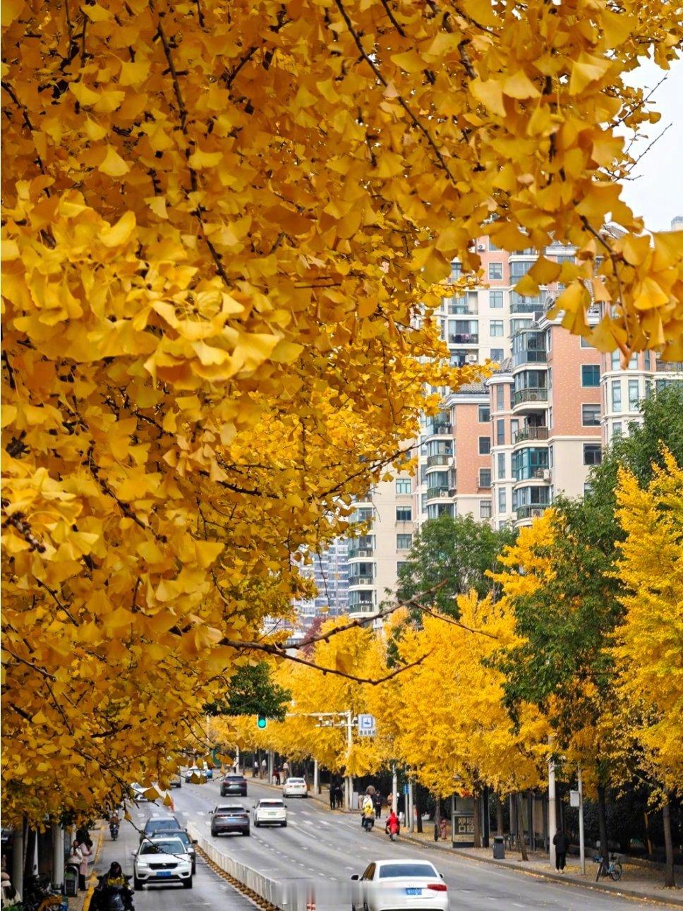 一张图猜猜这是武汉的哪里？ 