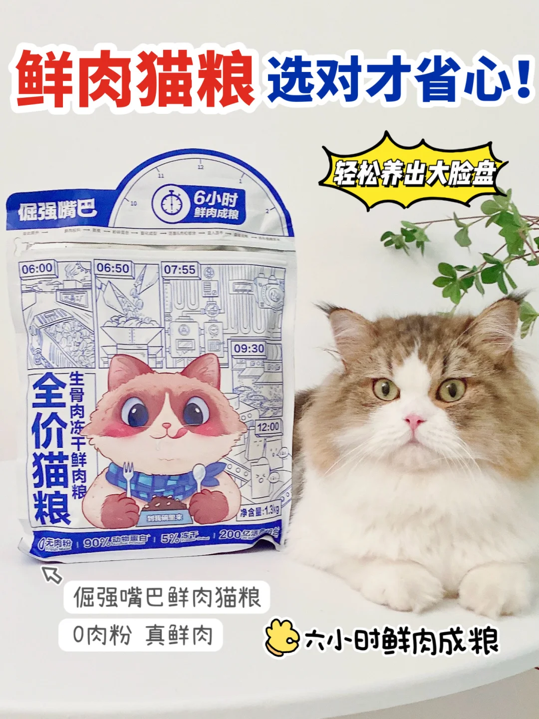 铲屎官速点！猫粮怎么选还得看鲜肉！