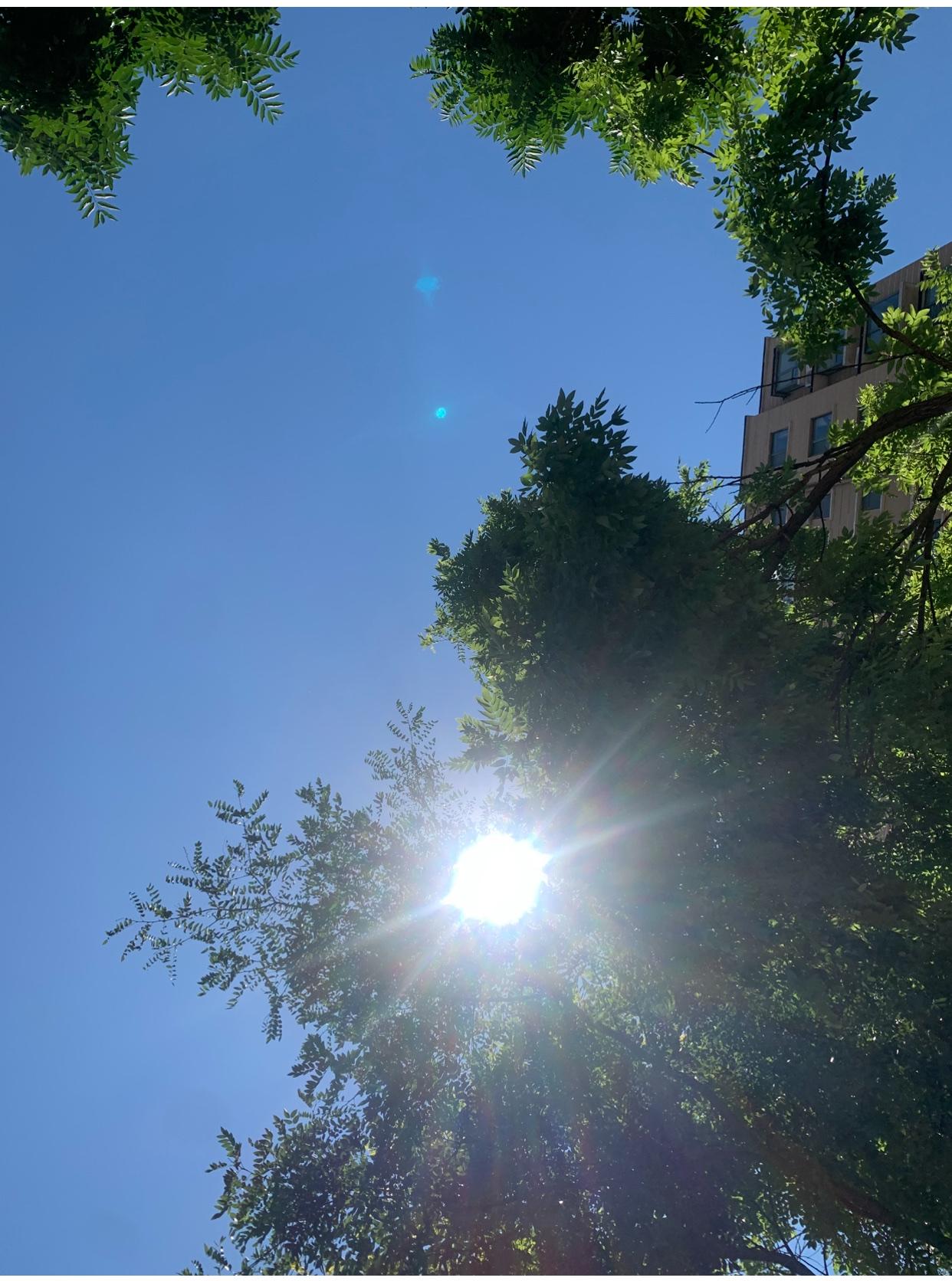 我认为喜欢
我喜欢夏天。阳光炽烈，万物蓬勃生长，白天被拉得很长，仿佛时间也慷慨起