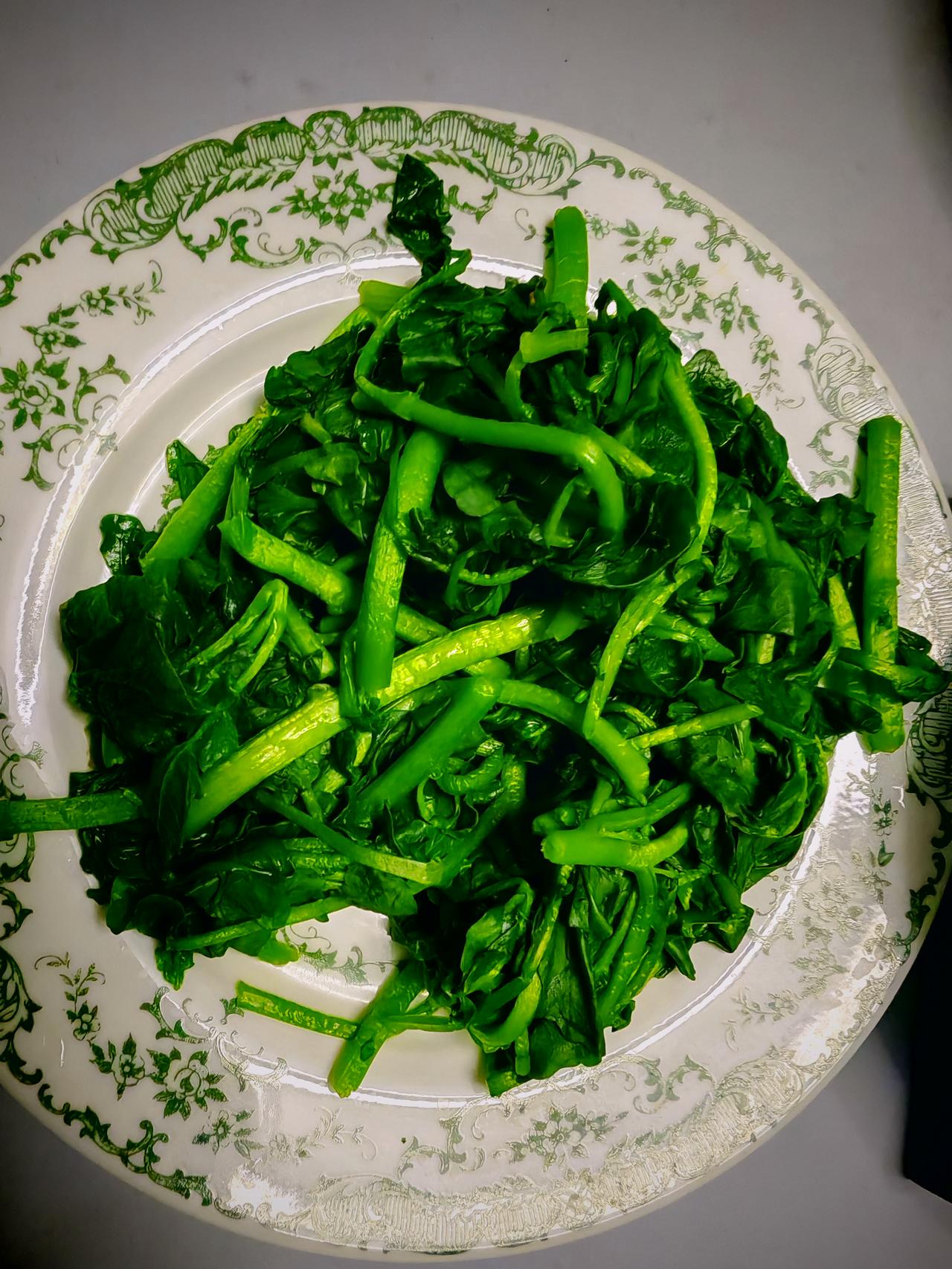 春日生活打卡季