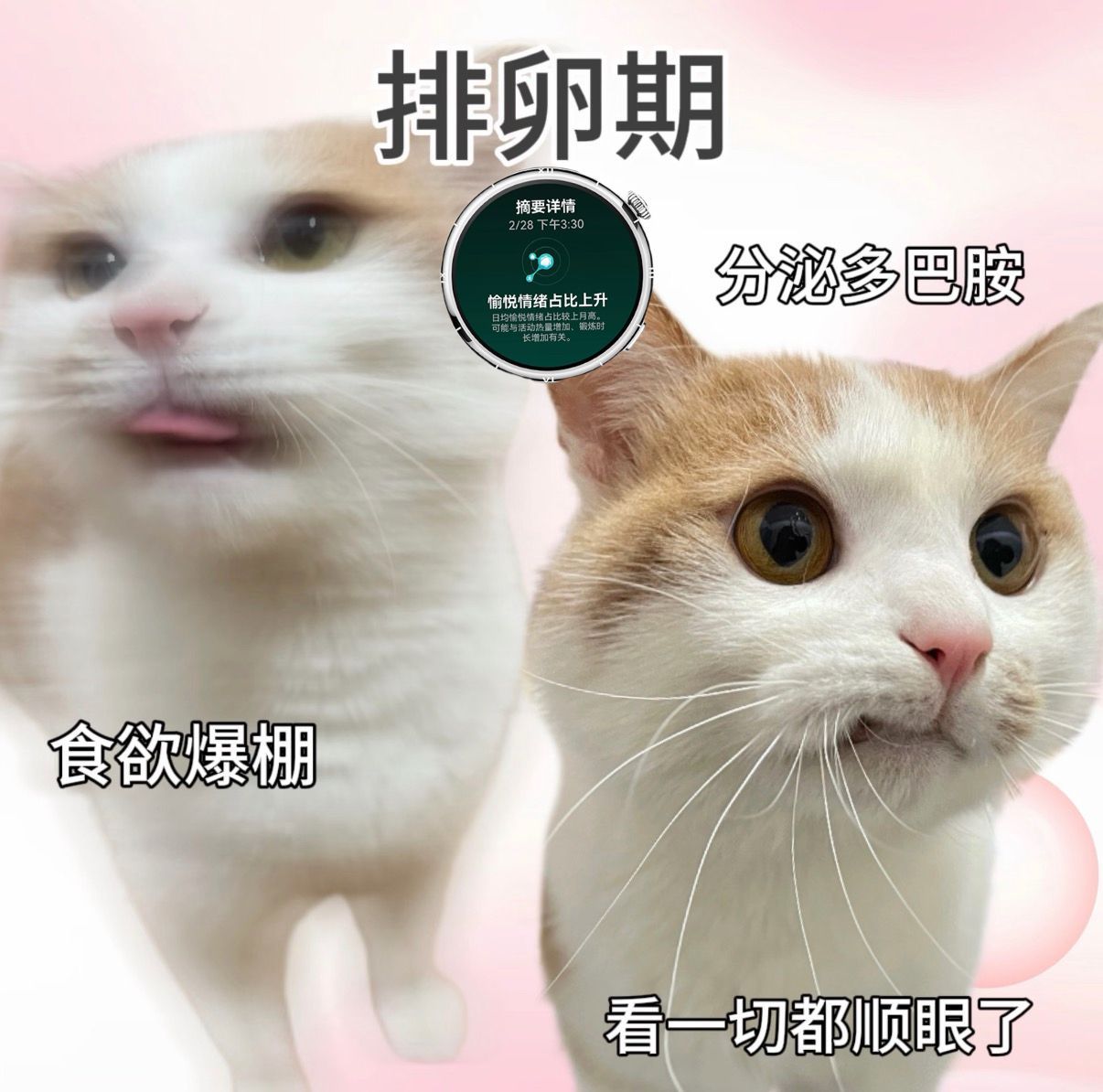 不足5%的女性能在晚10点前入睡有时候，熬夜是一种无声的“反抗”。反抗被计划、被