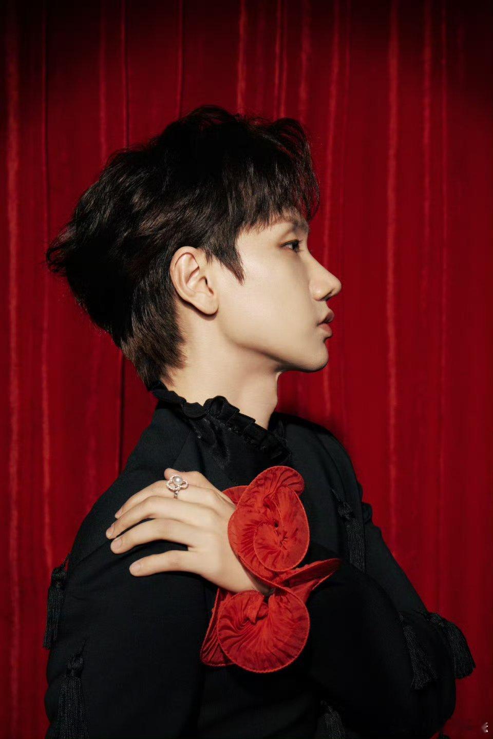 汪苏泷好六夜造型汪苏泷疯狂好六夜一袭黑西装搭配红色花朵装饰，在红色幕布背景下尽显