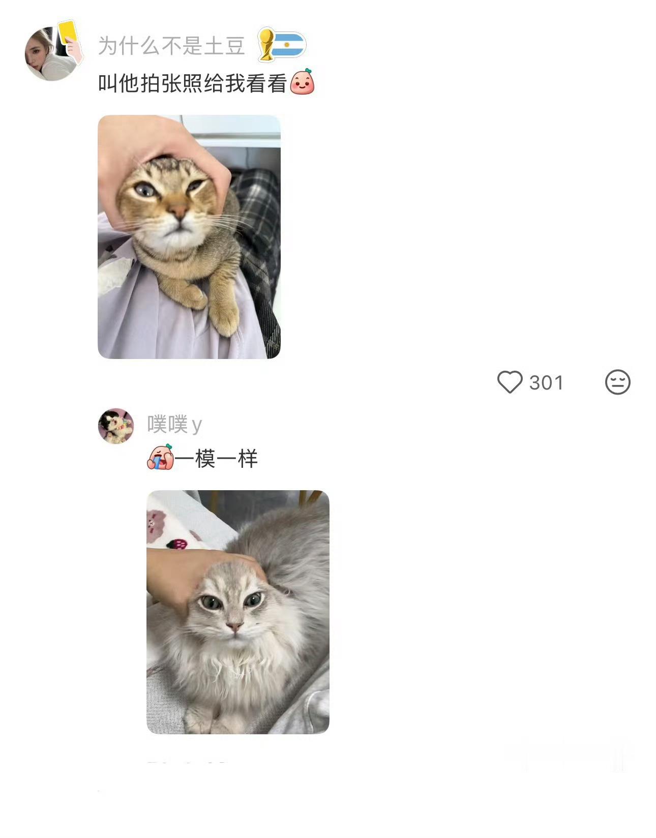 找对象的尽头是初高中同学不要让男人和猫独处 