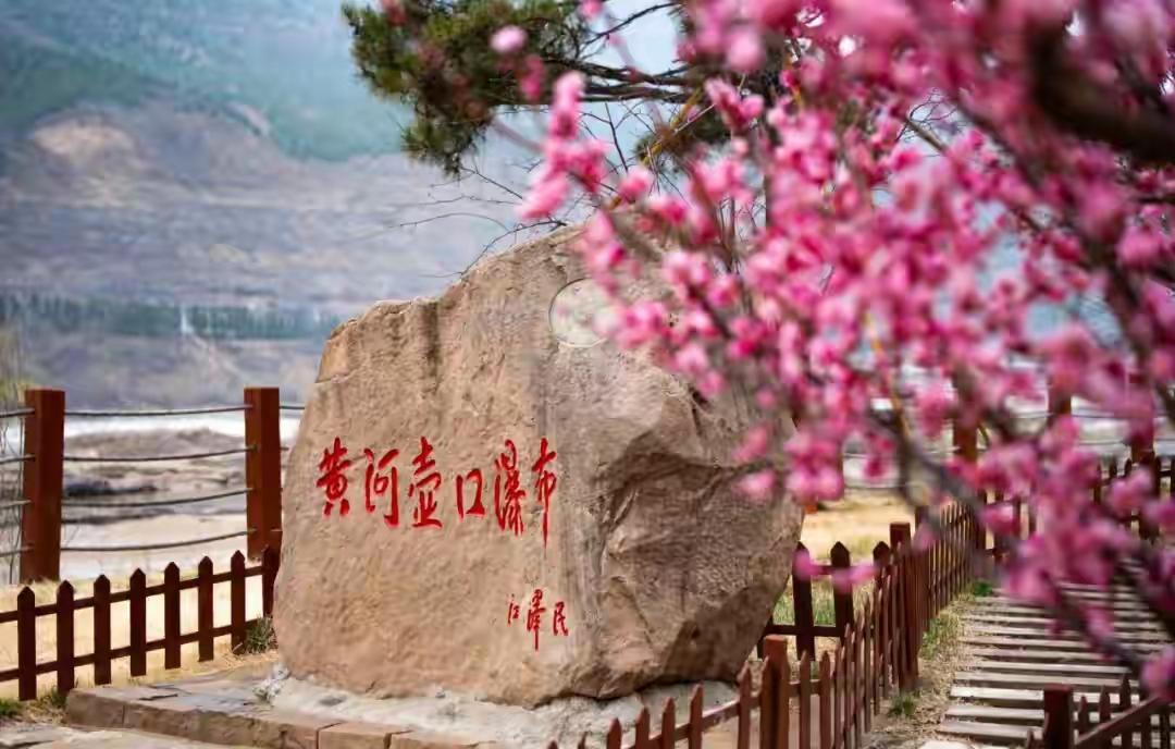 “黄河怒吼！壶口桃花汛3天暴涨6米，现场万人尖叫：原来‘春水’也能炸裂成史诗大片