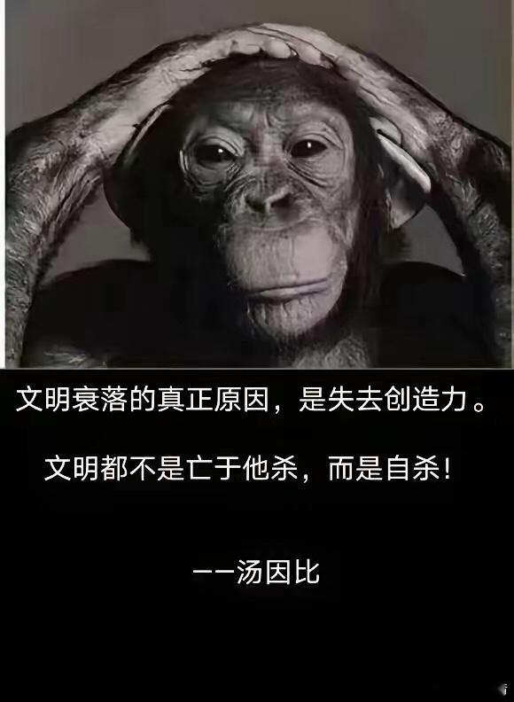 所谓的文明！[微风][咖啡] ​​​