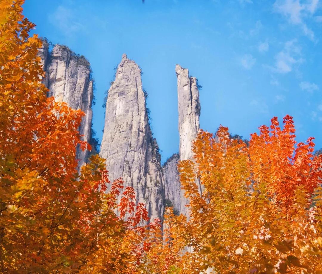 【简单的人，过得不累；简单的心，不会疲惫】
        简单的人，过得不累；