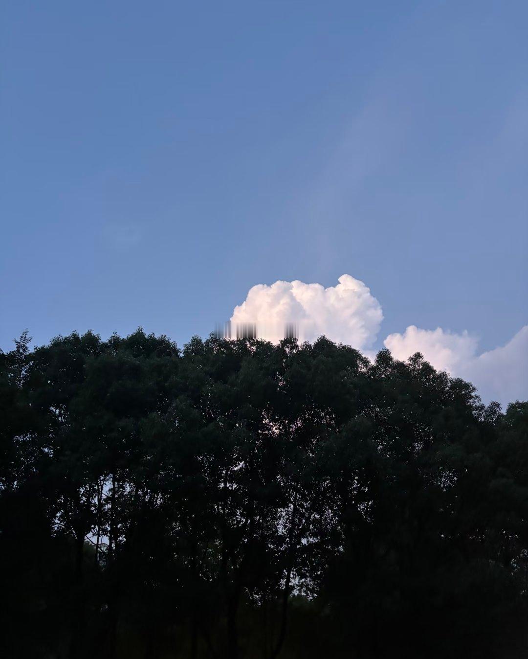 我以为的夏天热烈、漫长又足够浪漫但今年的夏天台风、洪水、地震甚至高温居然都在七月