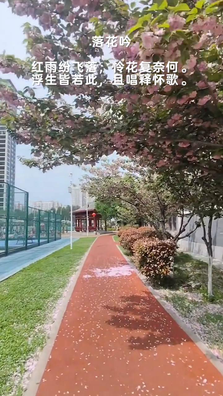 落花吟。
红雨纷飞落，怜花复奈何。
浮生皆若此，且唱释怀歌。