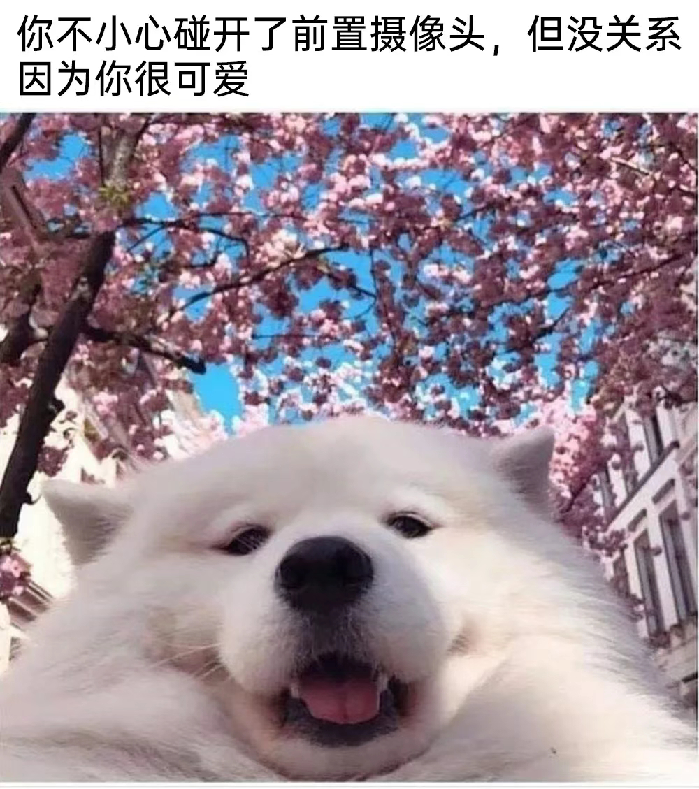 分享图片 ​​​
