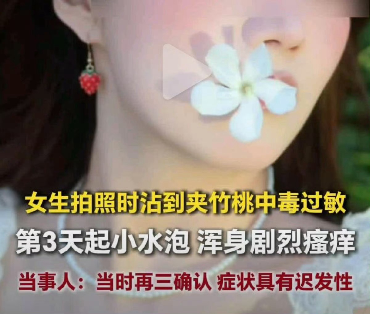 女生嘴含夹竹桃拍照中毒过敏这女的没常识，也没看过《甄嬛传》！哪怕好好看《甄嬛传》