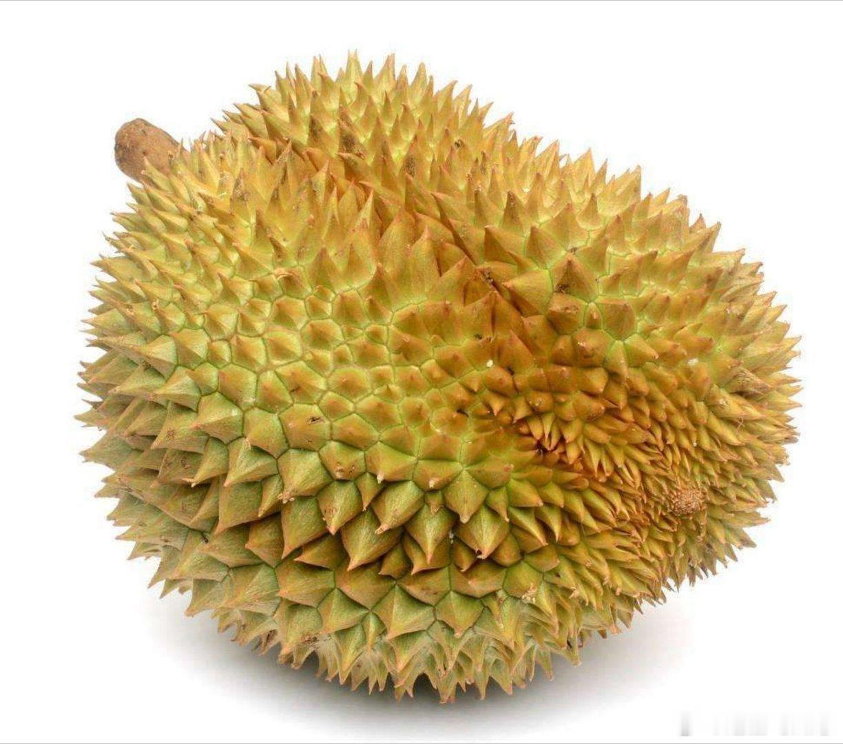 这榴莲怎么还住上单间了 日常里的趣味小插曲，为平淡生活添彩，快乐其实很简单。 