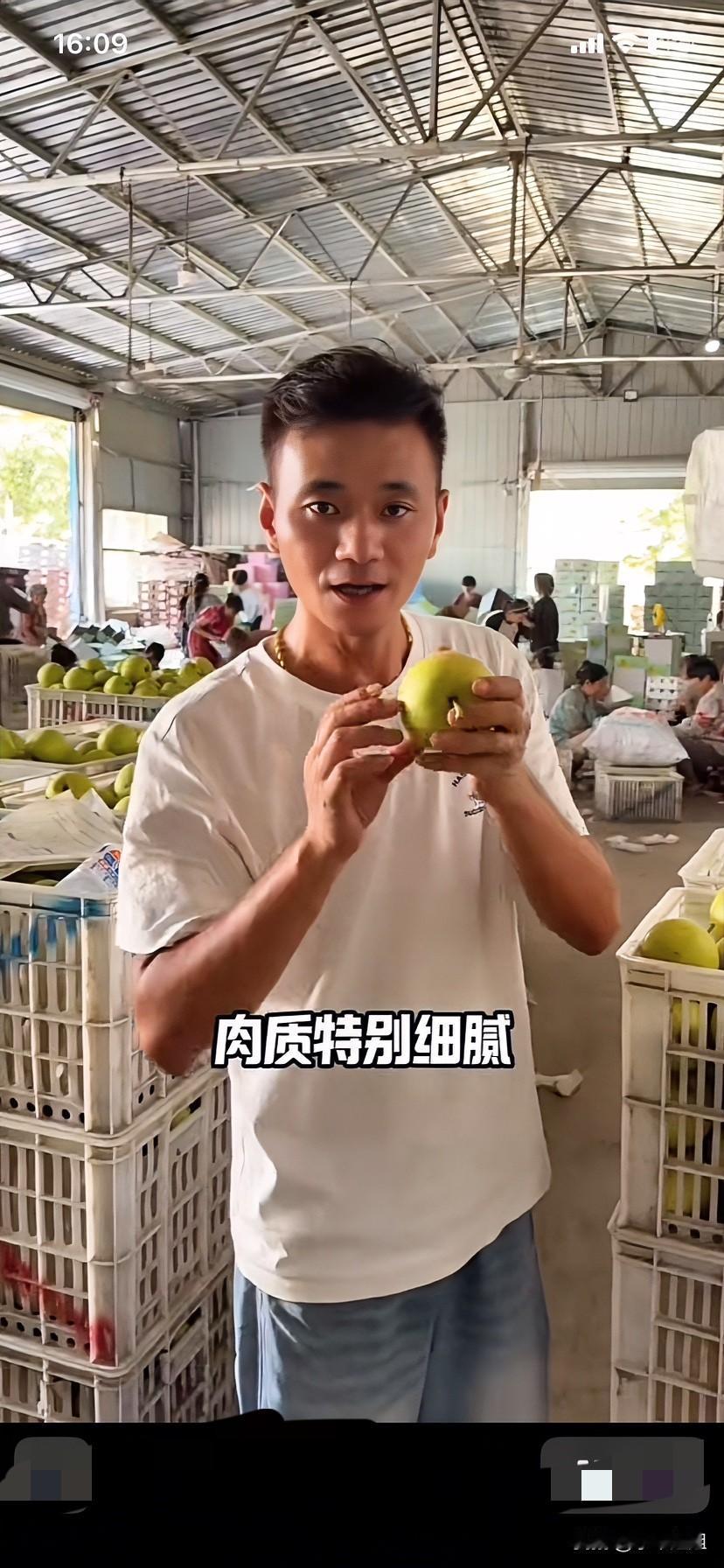 厉怀远的生意越做越大了！
看看他身后的车间，工人们正在忙碌的打包装箱！
家乡的梨