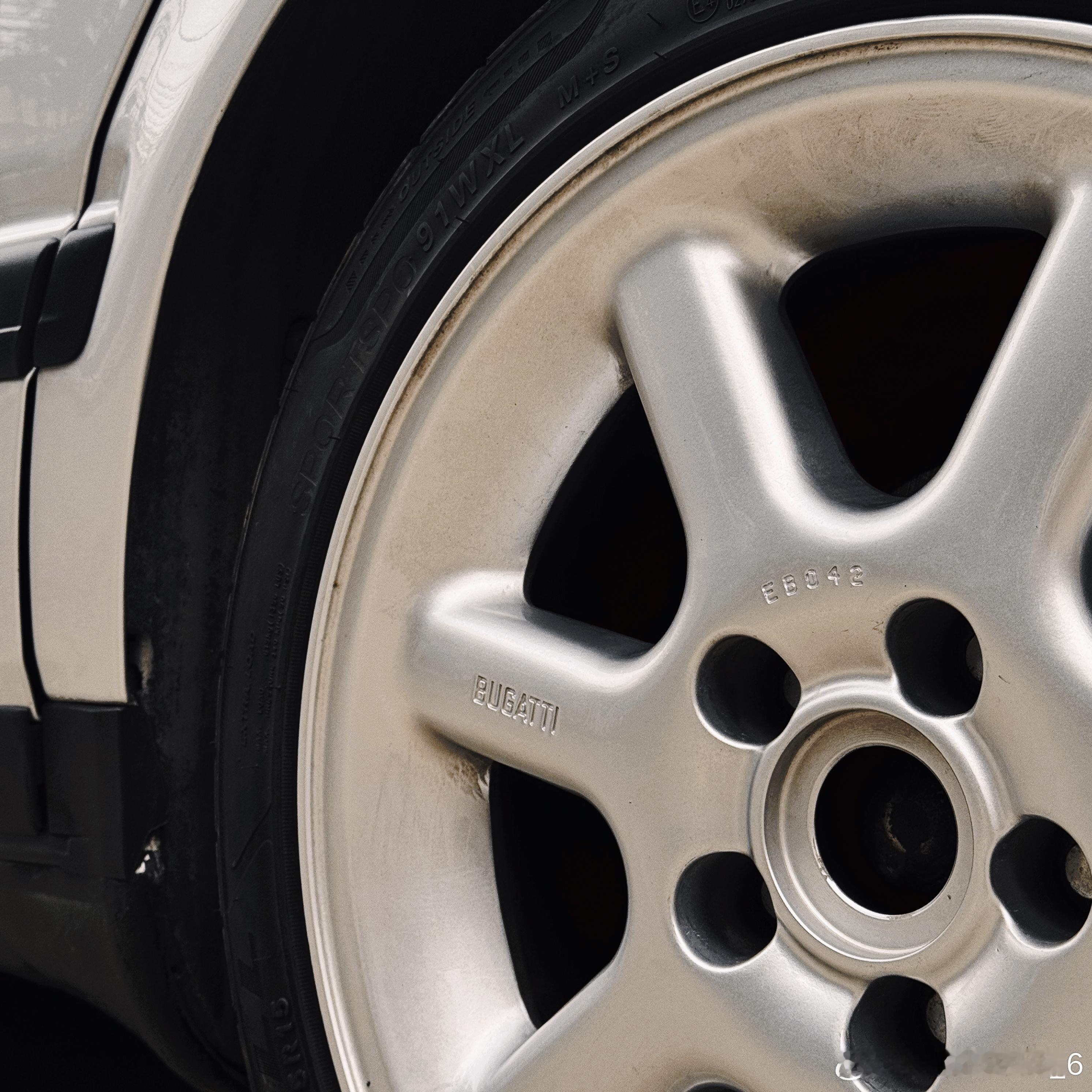 自家东西 果然还是百搭 广州·大夫山森林公园