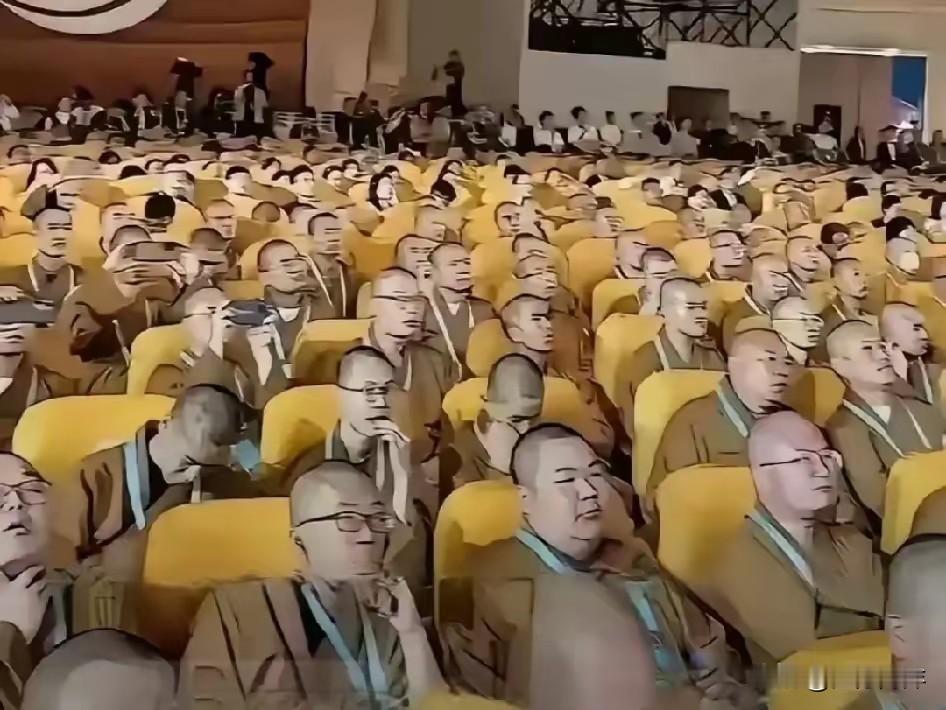 高僧云集，齐聚一堂，法师们的体态仪表令人叹为观止。
    我只是不理解，他们不