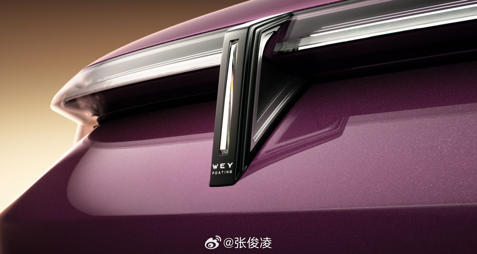 流量明星代言，说白了拼的就是热度。但魏建军这次不一样，他押上的是自己在汽车圈摸爬