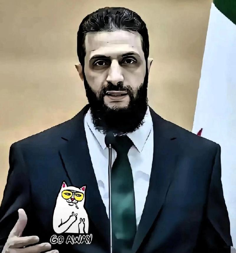 叙利亚传来的消息！
2026年4月17日，大马士革甩出一条让全世界都坐不住的消息