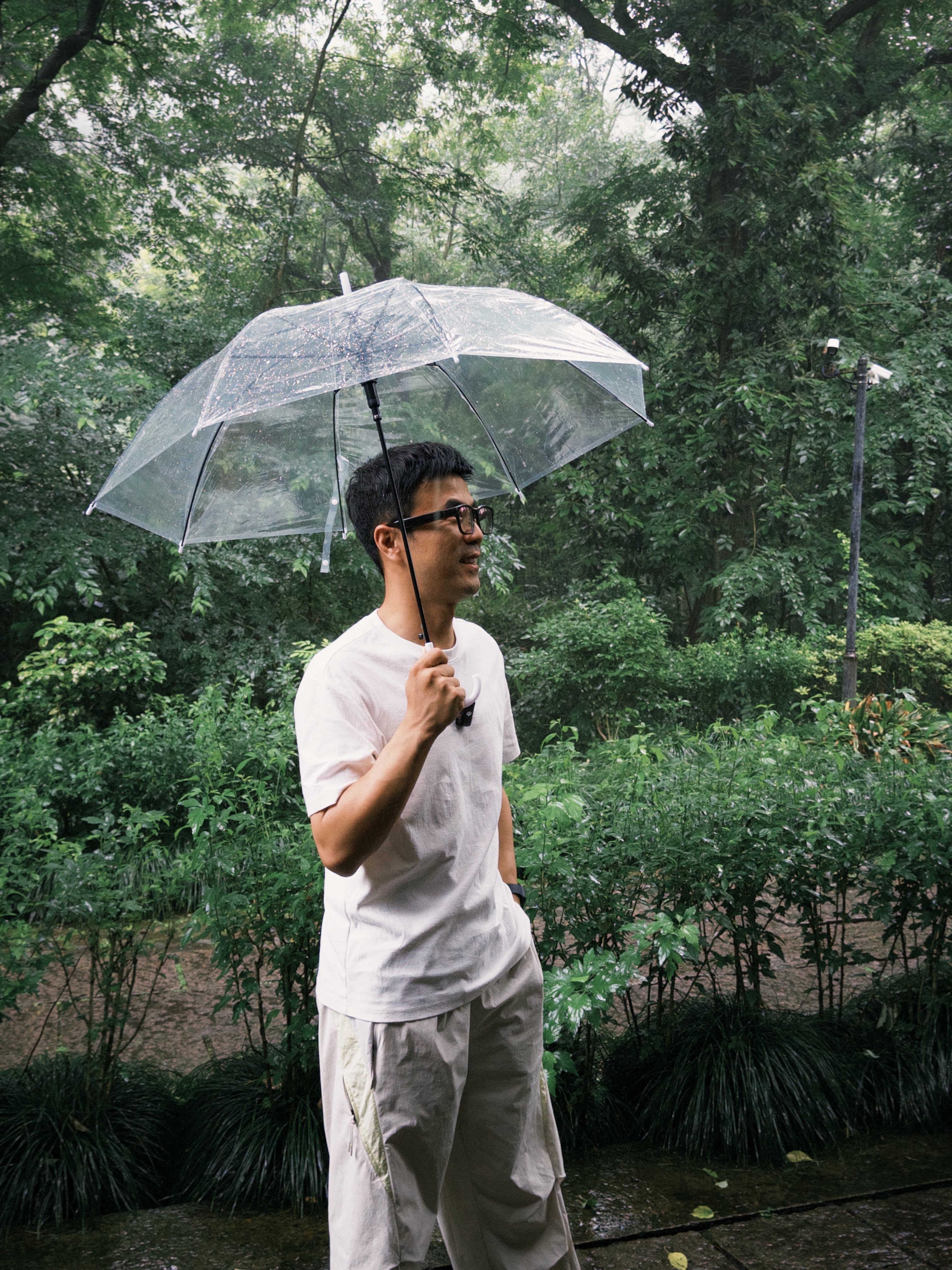 杨梅和排骨放在一起，到底是杨梅有了排骨味儿，还是排骨有了杨梅味儿？凑合一口，继续