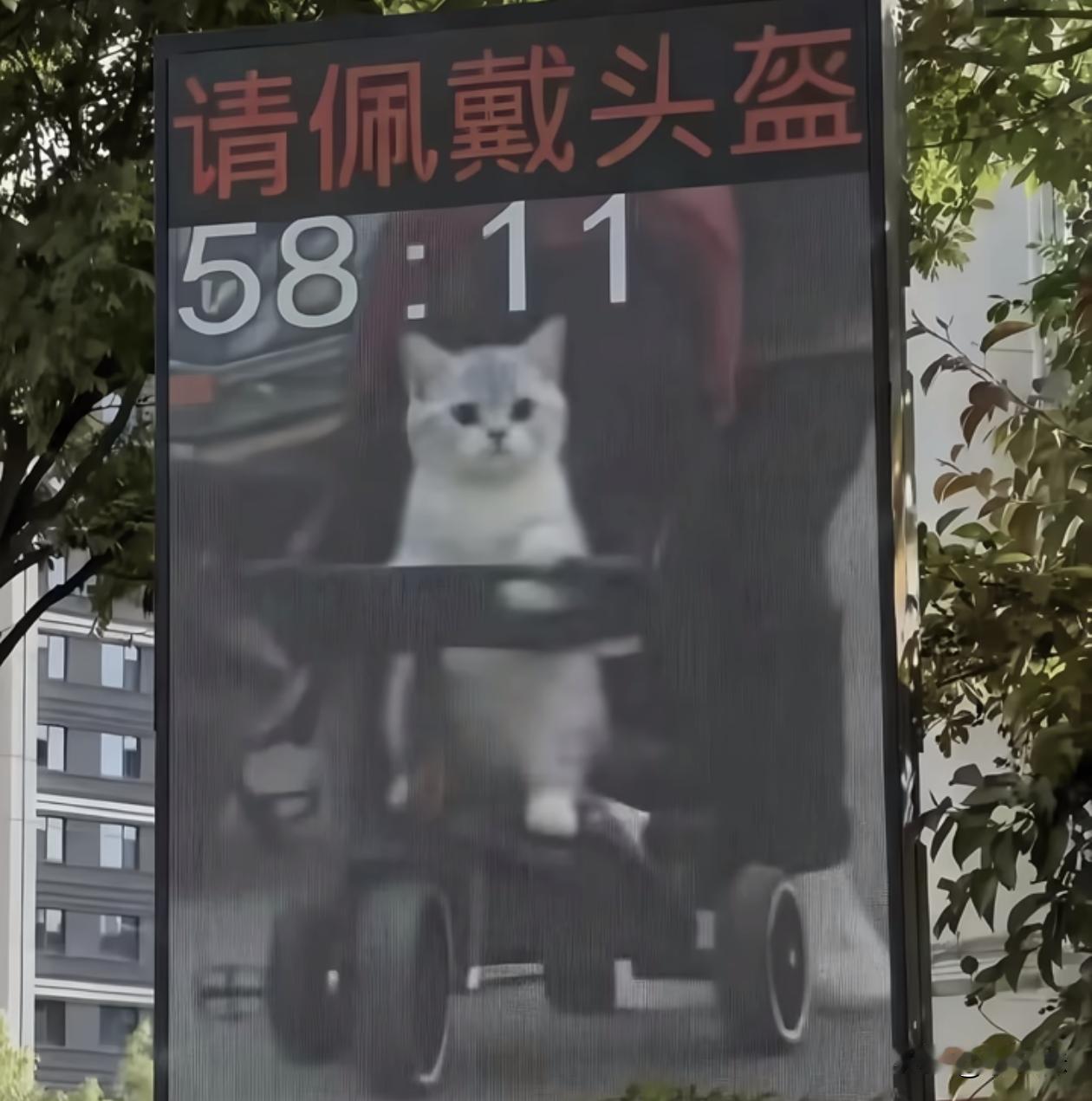 只要是车都拍是吧？