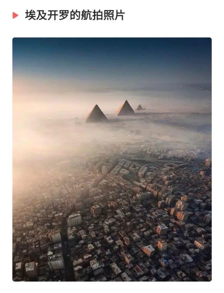 七米长的鱿鱼
