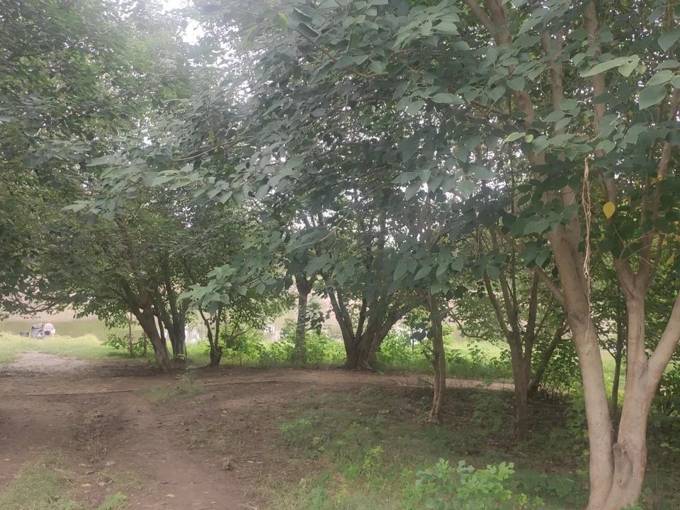 劳动合同中的模糊条款如何避免?这个几乎无法避免，因为个人永远处于弱势群体，你只能