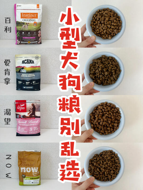 真心建议，小型犬狗粮别随便乱选~