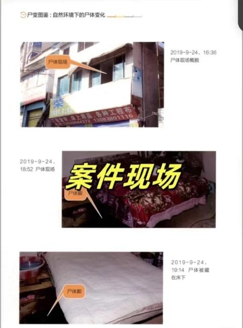 看不完一本书，真的看不完！太吓人了❗️
每一本书都是法医真实案件～
每一张图都让