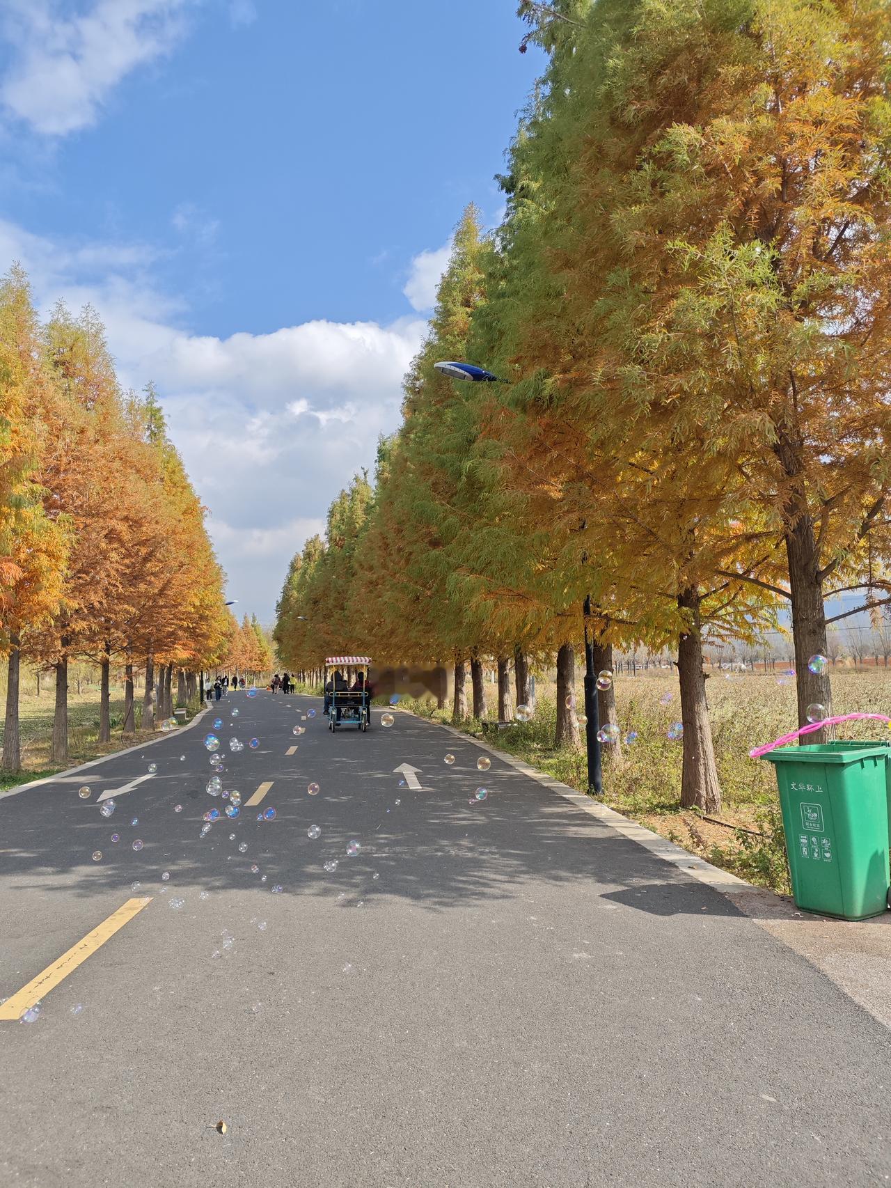 对于我们普通人来说，我觉得生命这事儿特简单，说白了就是好好活着。

根本不用跟别