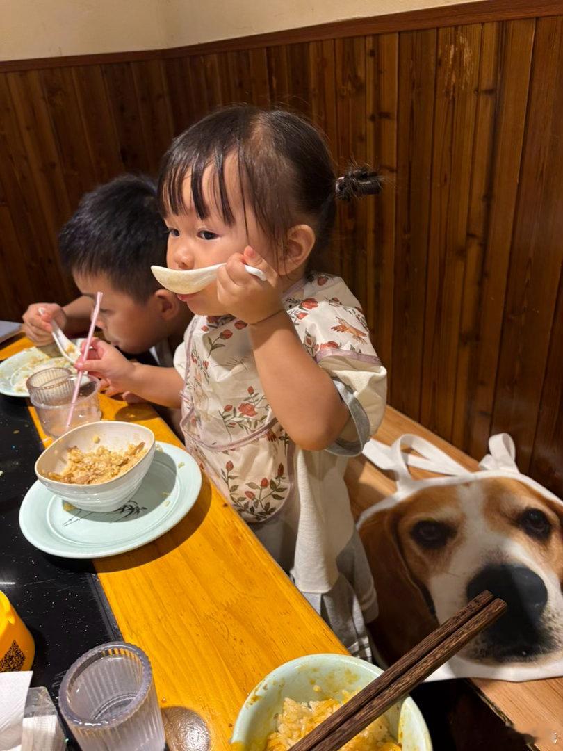带比格钱吃地锅鸡