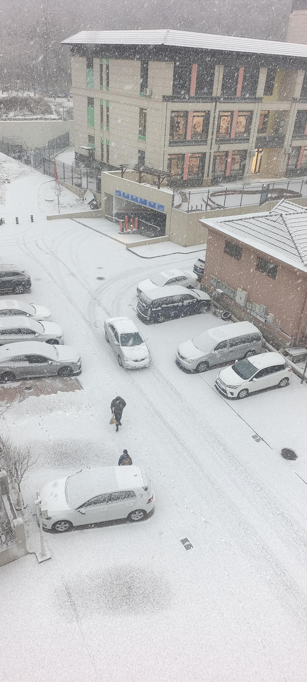 还是有雪才像个冬天的样子
“下雪了！”我高中的一个女同学能给把这个雪发出翘舌音。