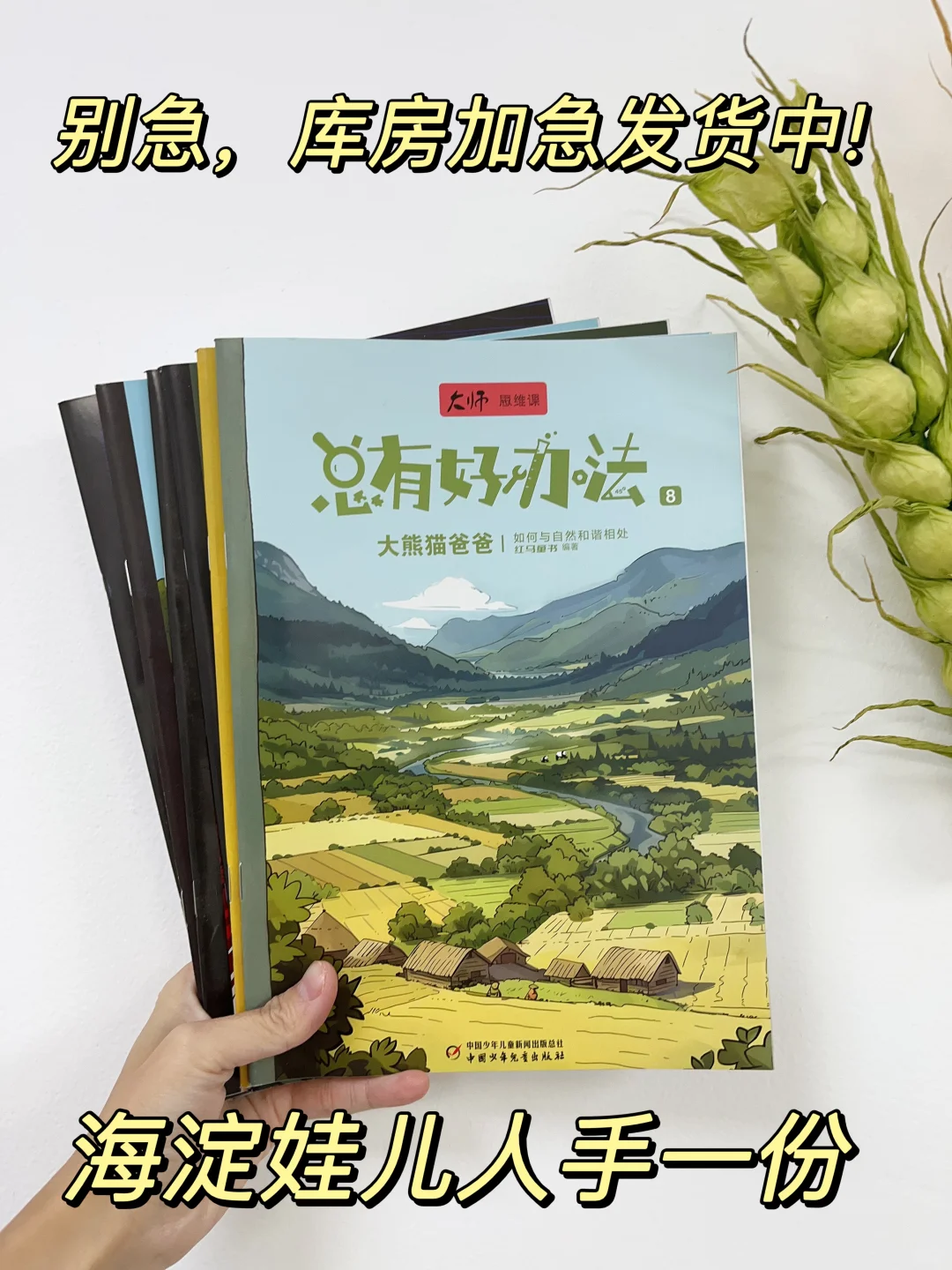 新年感谢季❗️爆款书上新就有活动价‼️