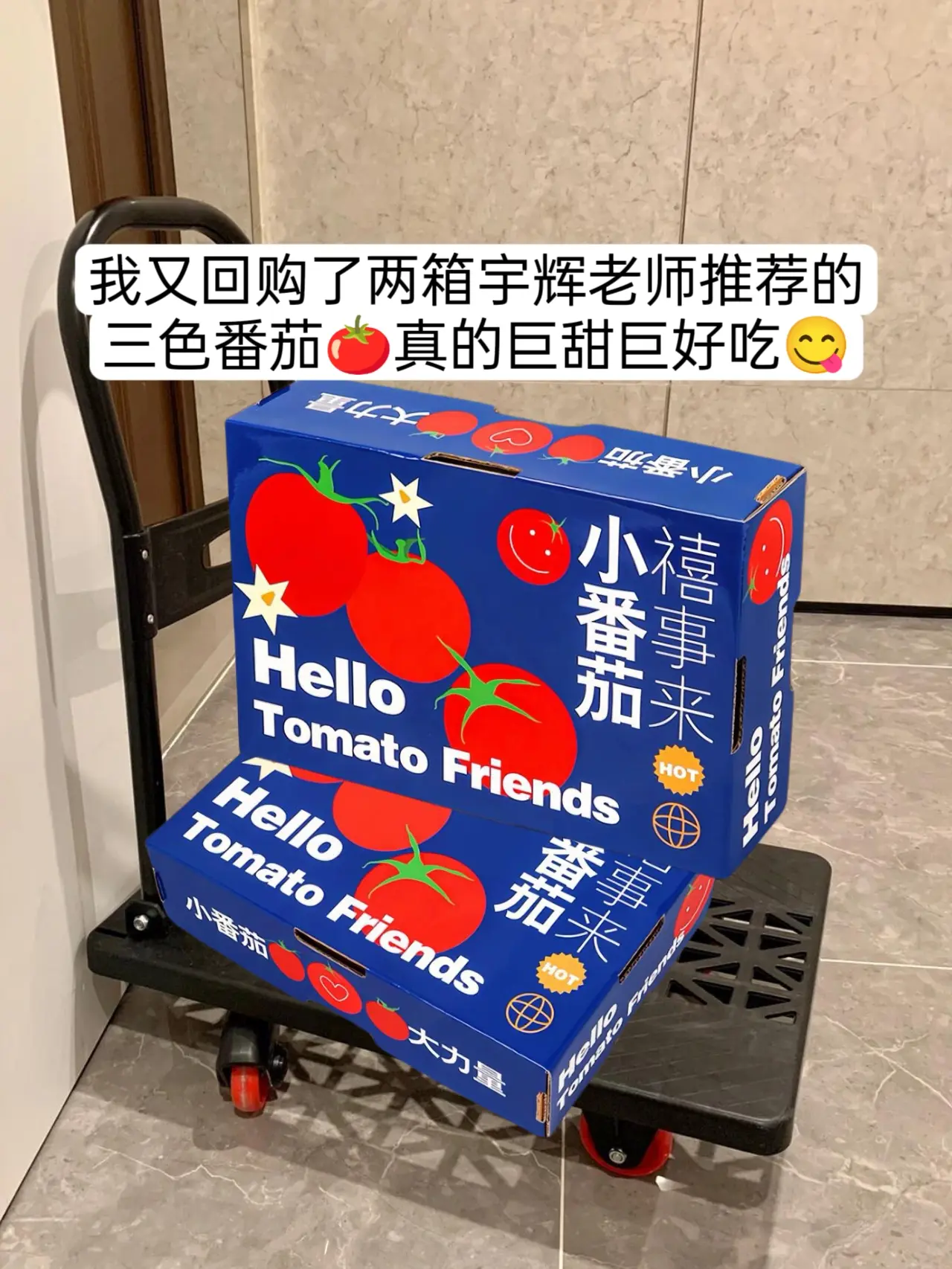 宇辉老师推荐的混色番茄吃到了！ 这真好吃！ 脆甜可口！ 汁水又多！ 家...