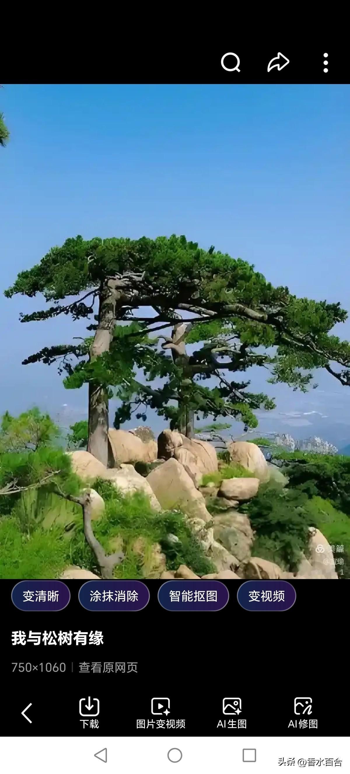老年人宁可少吃点，千万不要多吃。

早上到单位，听说同事的婆婆去世了。

有点意