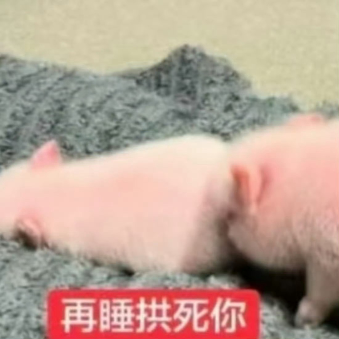 早早早呀 我睡醒了 ​​​