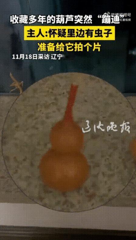 解释不清了！辽宁沈阳一名男子珍藏了几个文玩葫芦，之前一直都放在柜子里，有天他心血