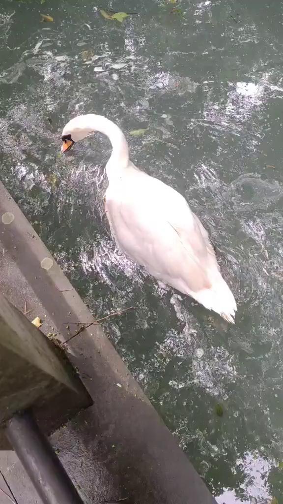 但那应该匆匆，匆匆。