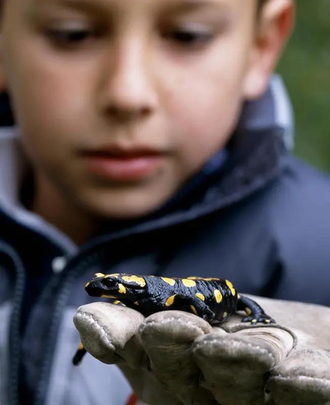 最近“小学生校门口买‘小火龙’中毒”传得沸沸扬扬，但这可不是谣言。3月20日，陕