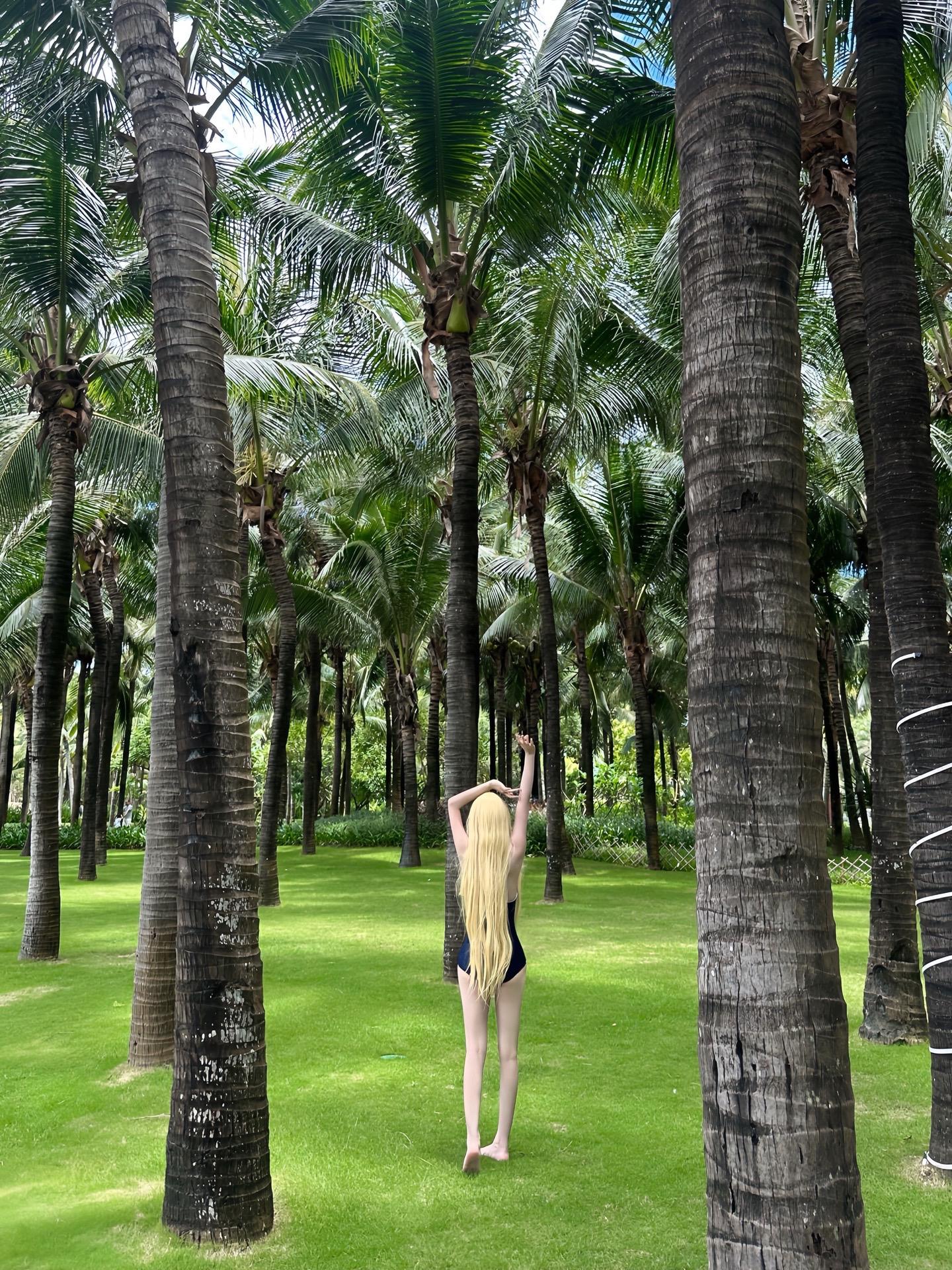 ₊⁺🐋₊⁺𓇻⋆⁺₊🏝️⋆⁺₊⋆🫧