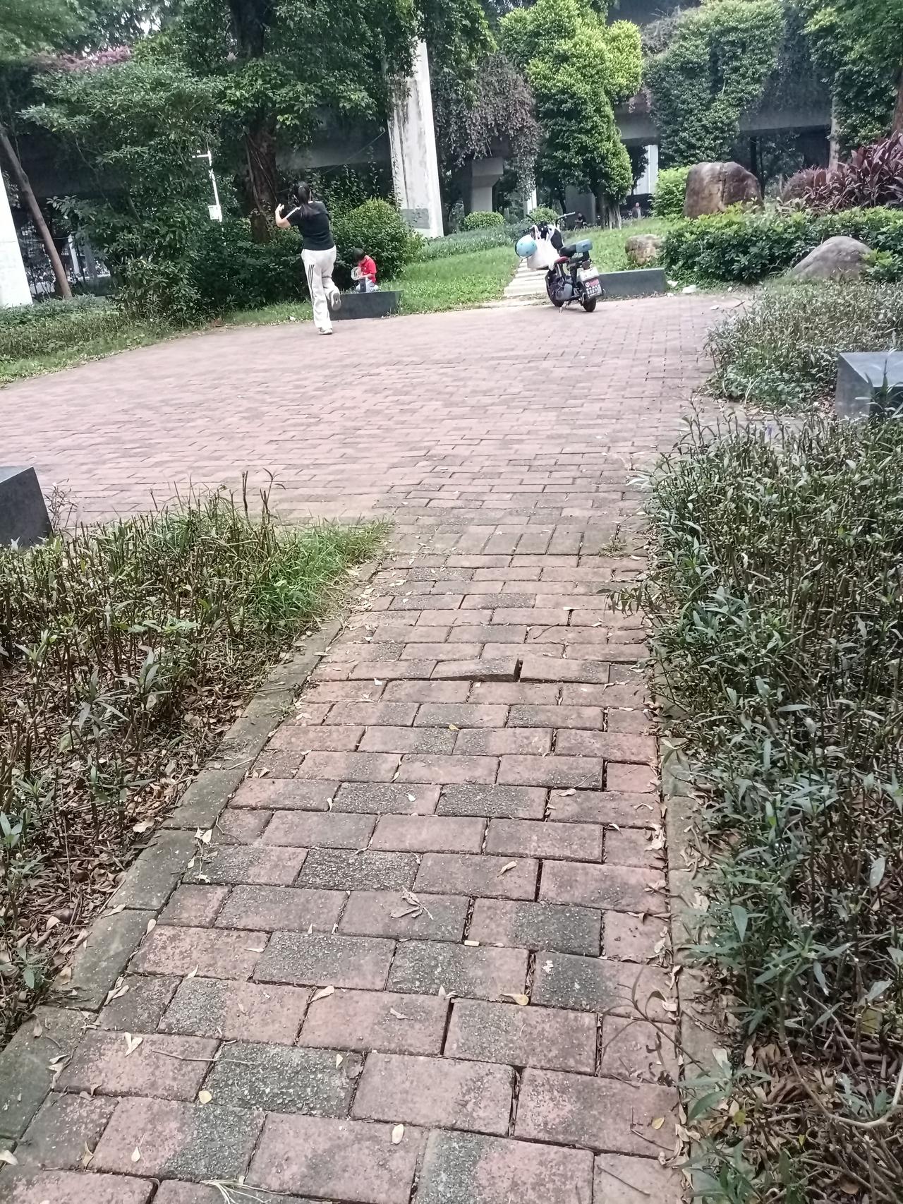 广州东晓南路小公园里面，一名美女网红带着小孩悠闲在跳舞，在开直播赚外快。


