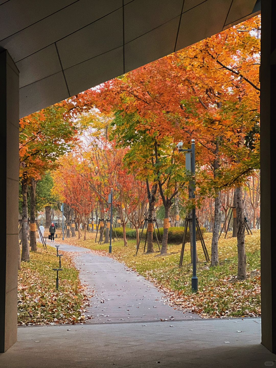 在上海！！有些门真的不能随便进！！！