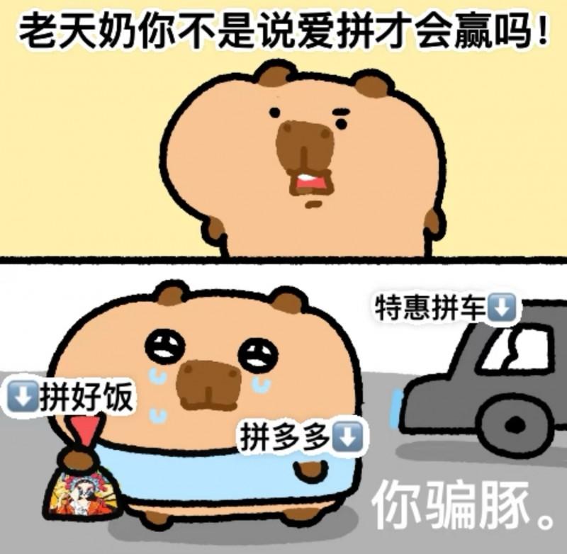 物流界有自己的“拼好车”？属实把环保给拿捏了！

听说过“拼好饭”，你有听说过“