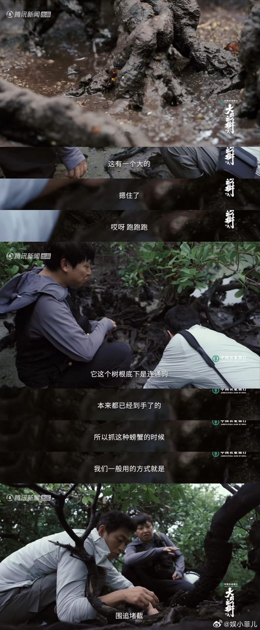 e人水哥遇到i螃蟹  水哥说螃蟹长在自己的审美点上  走进《大国之树》第二季，看