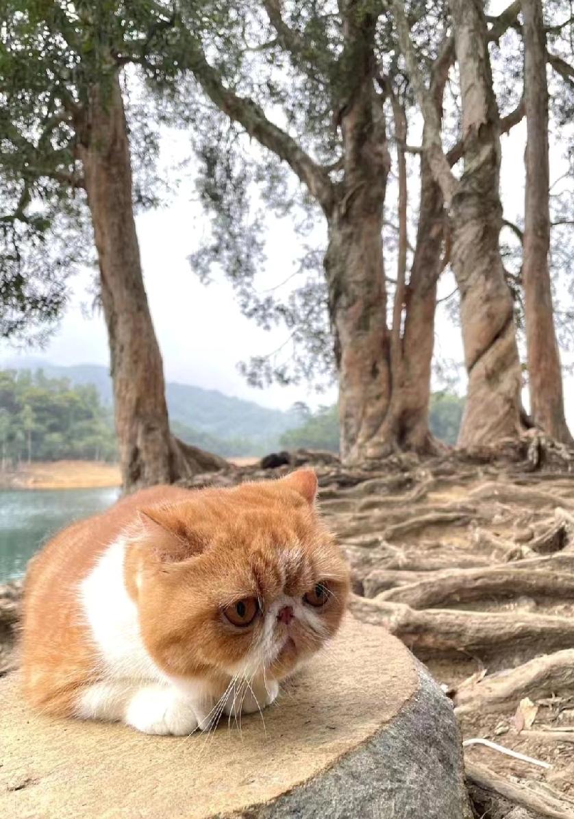 分享一张你家宝宝可爱的照片