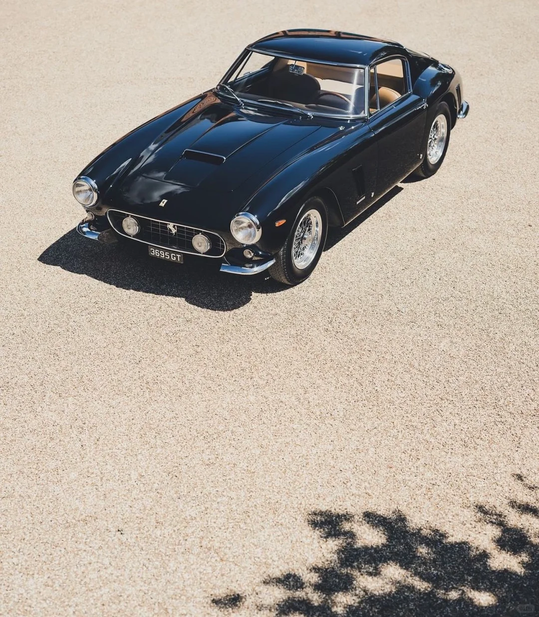 Ferrari 250 GT SWB