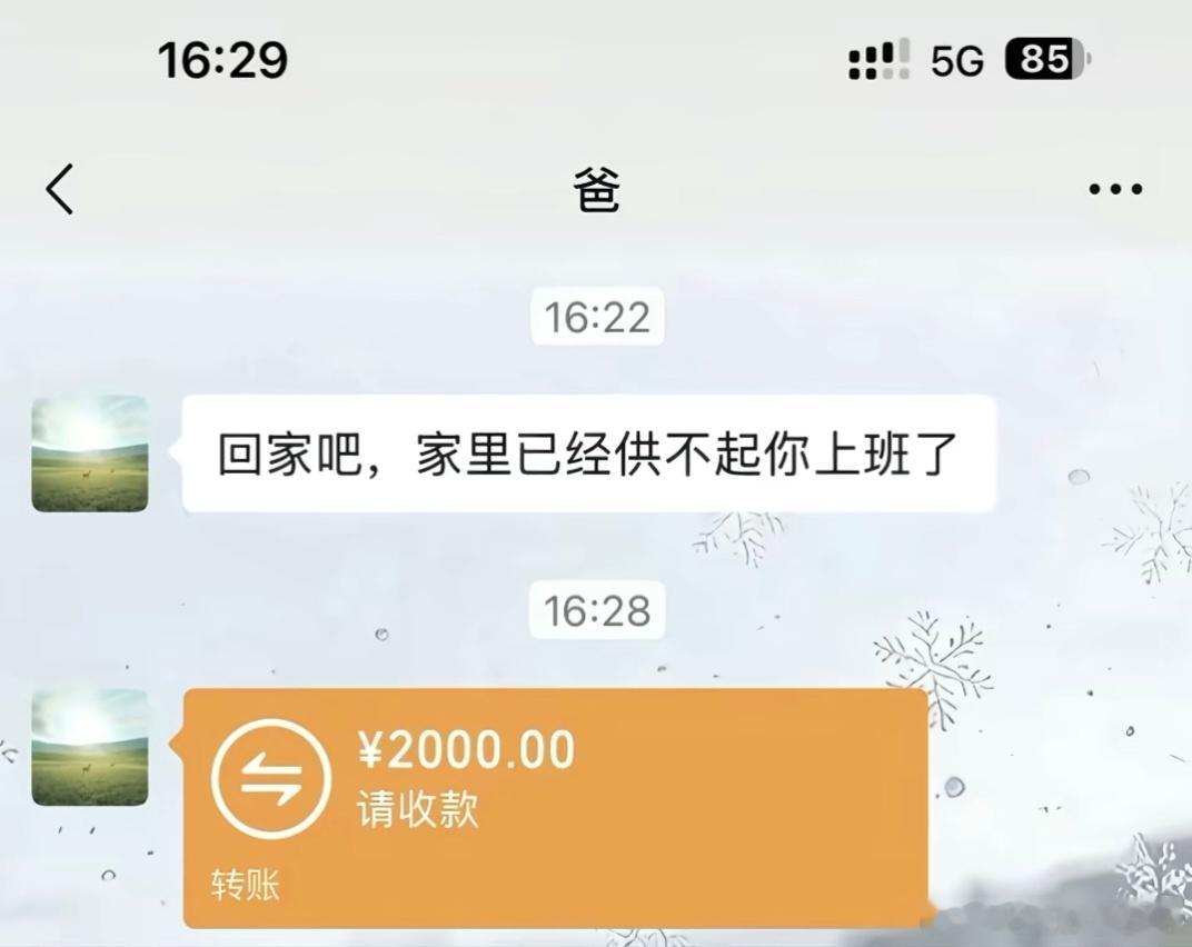 家里快供不起我在外面上班了  离家时带了 2000，回家时贷了两万，饿了妈，支父