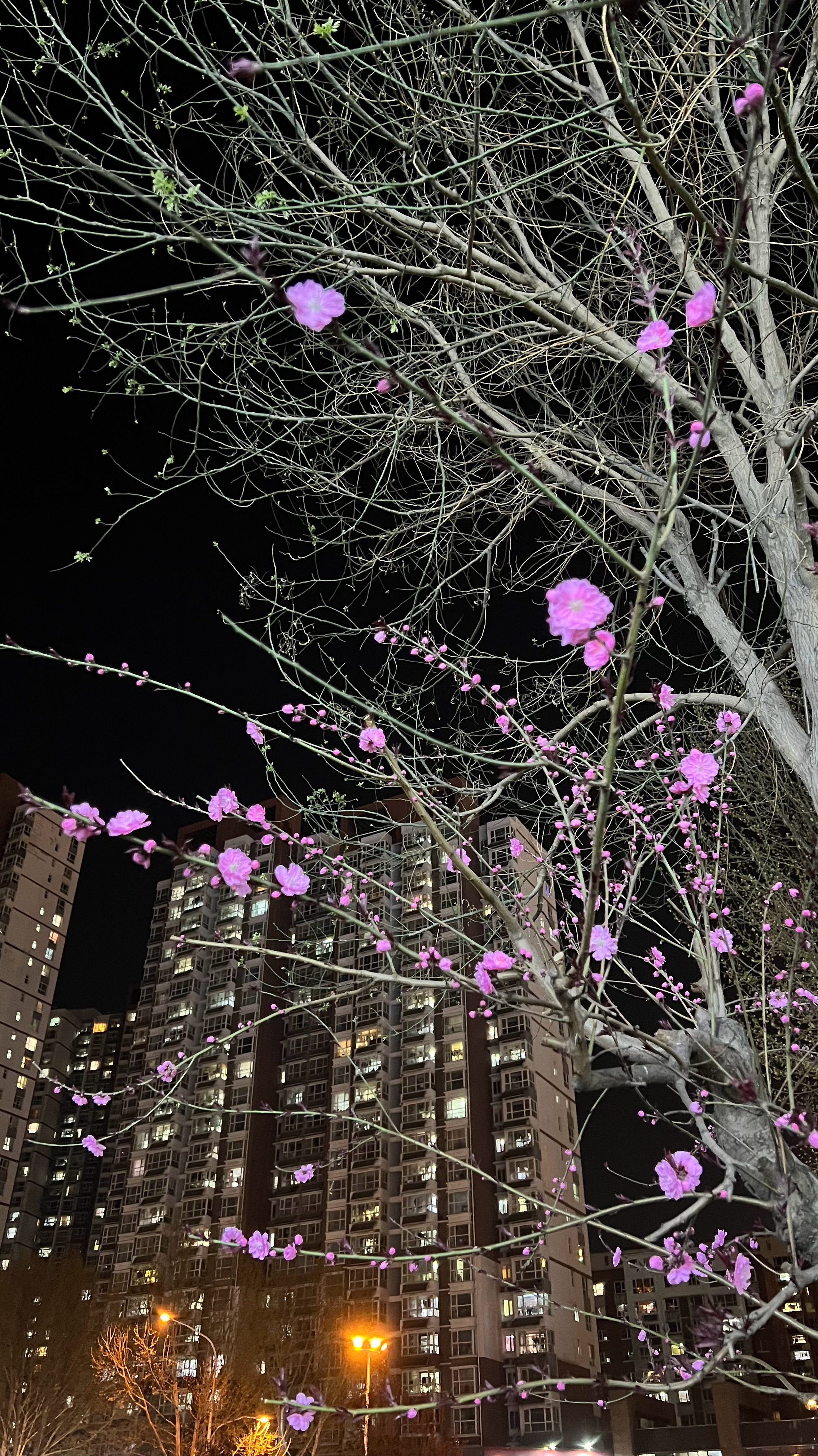 相机记录美好[超话]