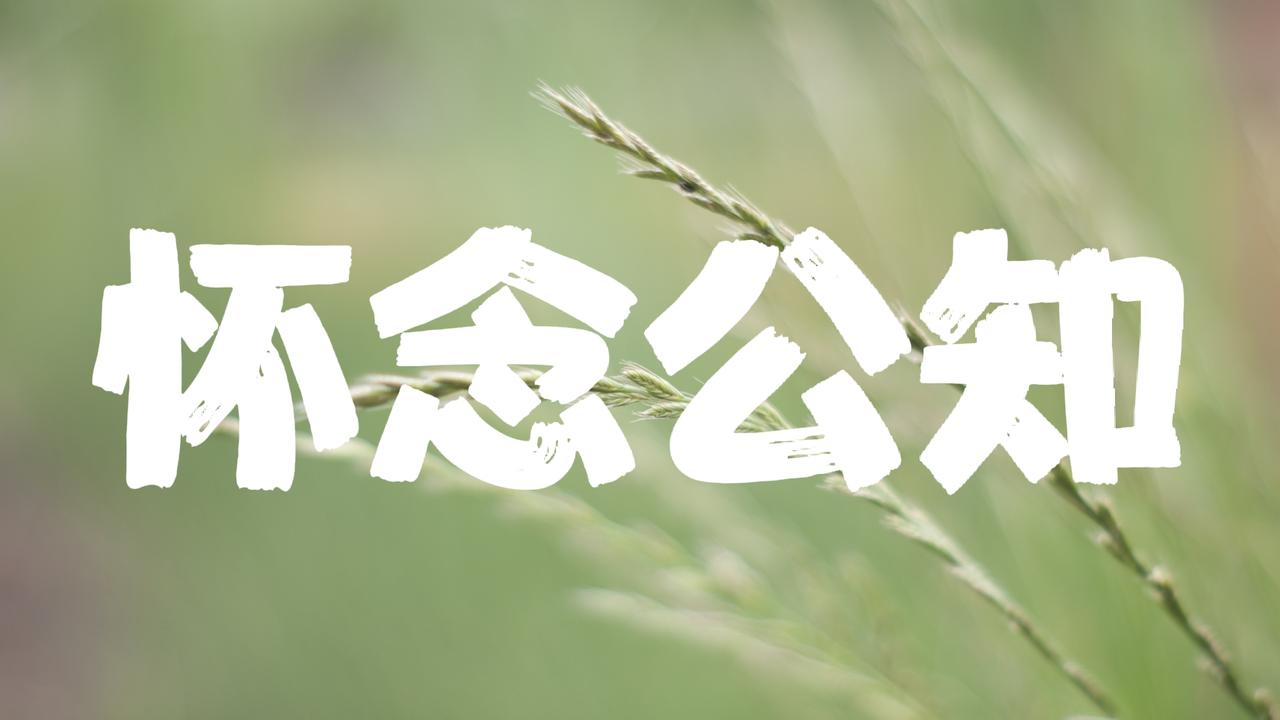 怀念公知
 
曾经被热议、被追捧，后来又被批判、被污名，直至渐渐销声匿迹的公知，