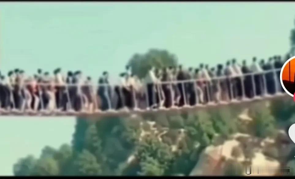 这是我在抖音上刷到的一个视频，事情不知道发生在何时何地，一群成年轻人在某景区摇摇