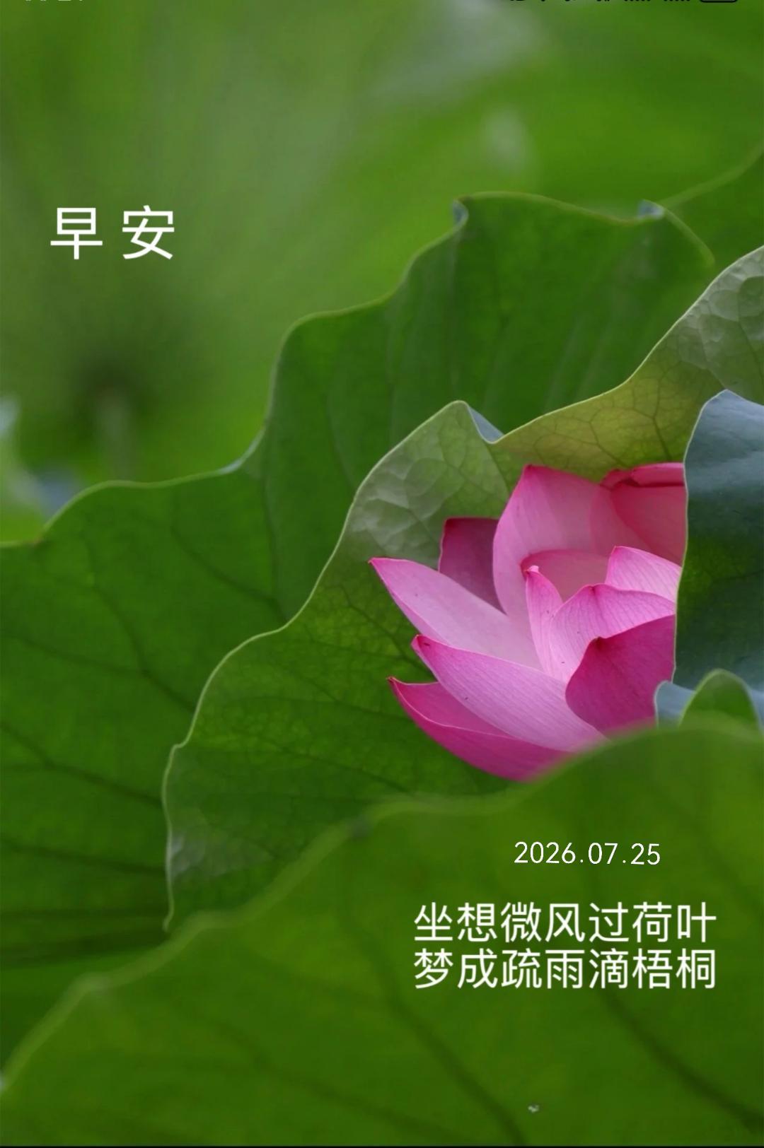 周六早安，又是新鲜的一天，把昨天的疲惫留在梦里吧。 北京