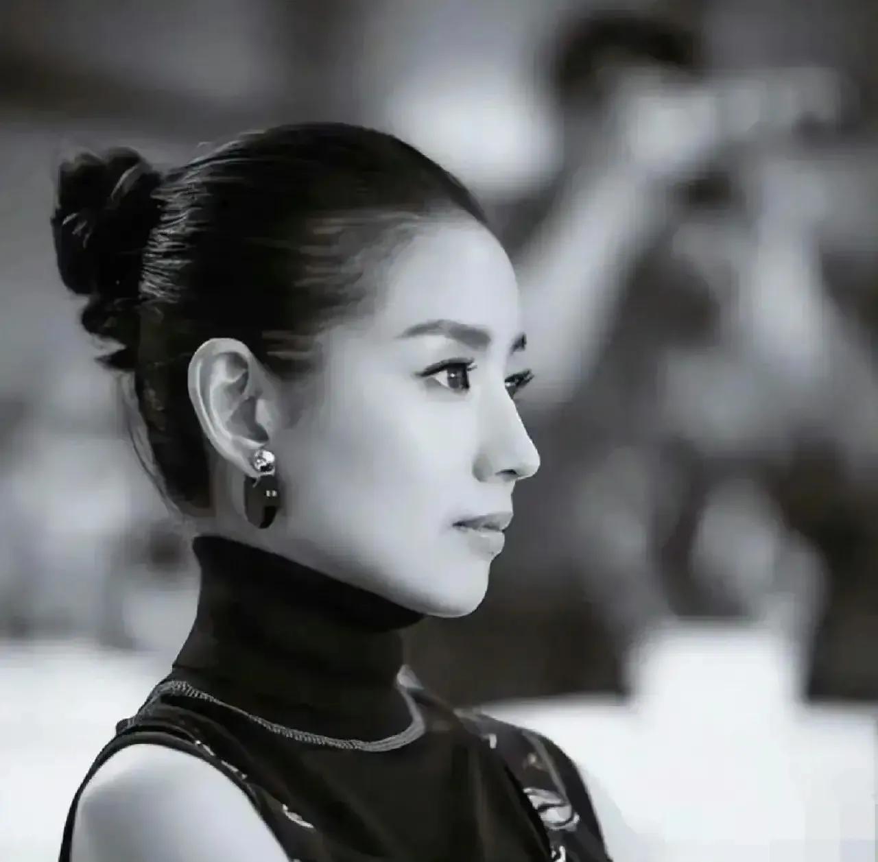 董洁的这个侧颜真的是无敌了，无可挑剔，可以说她的侧颜在娱乐圈也是数一数二的美了。